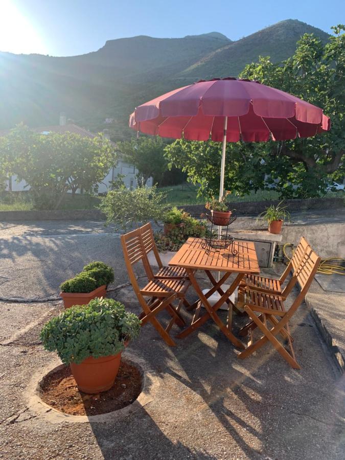 B&B Blanda Maratea Buitenkant foto
