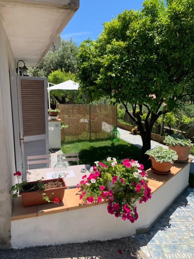 B&B Blanda Maratea Buitenkant foto